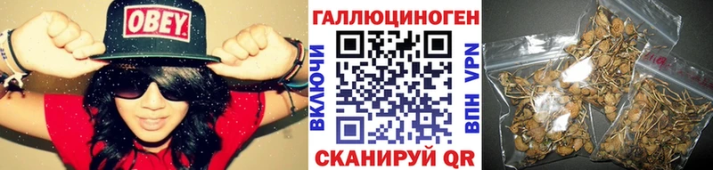 Купить закладки  Саранск  Галлюциногенные грибы GOLDEN TEACHER 
